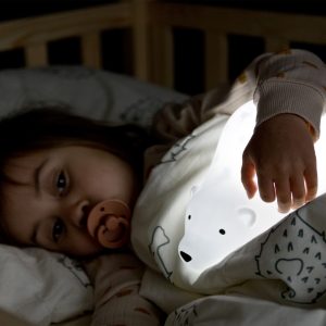 PROJECTOR BJORN – Image 3