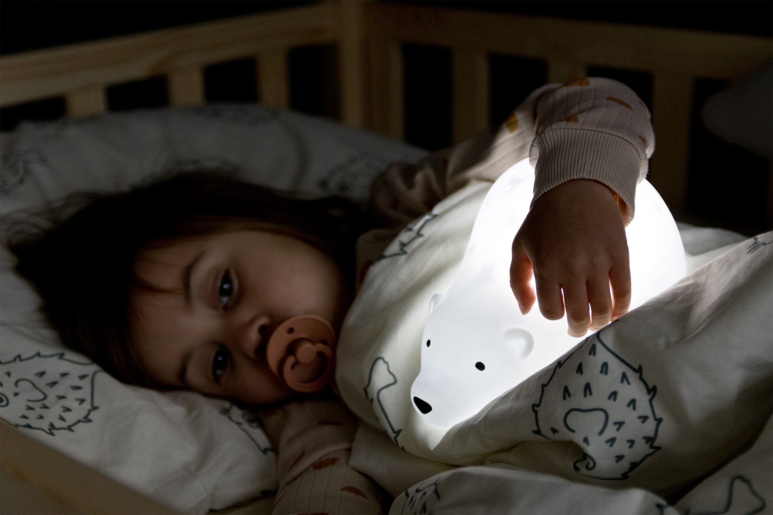 PROJECTOR BJORN – Image 3