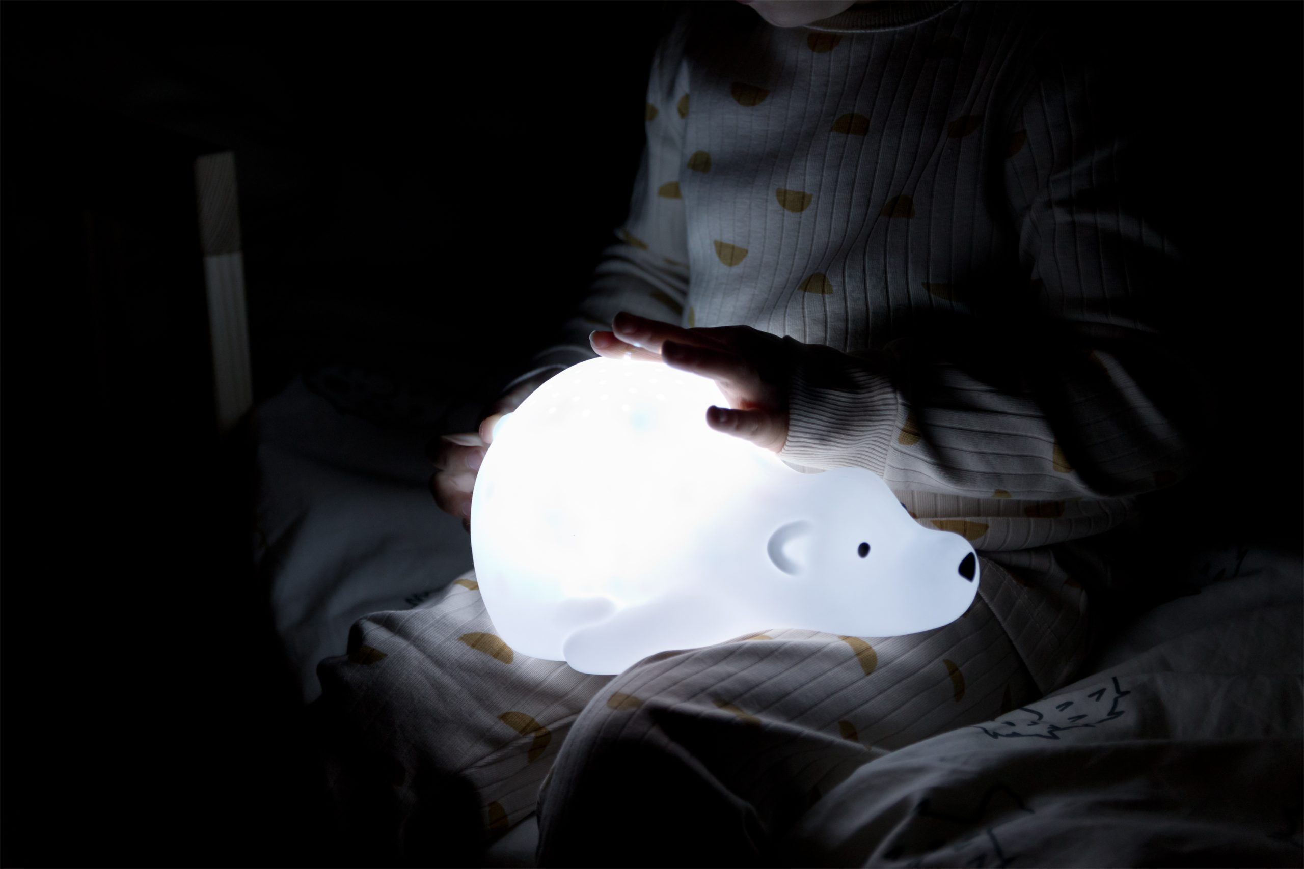 PROJECTOR BJORN