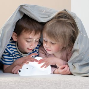 Alternative view of PROJECTOR BJORN