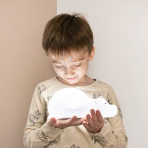 PROJECTOR BJORN – Image 4