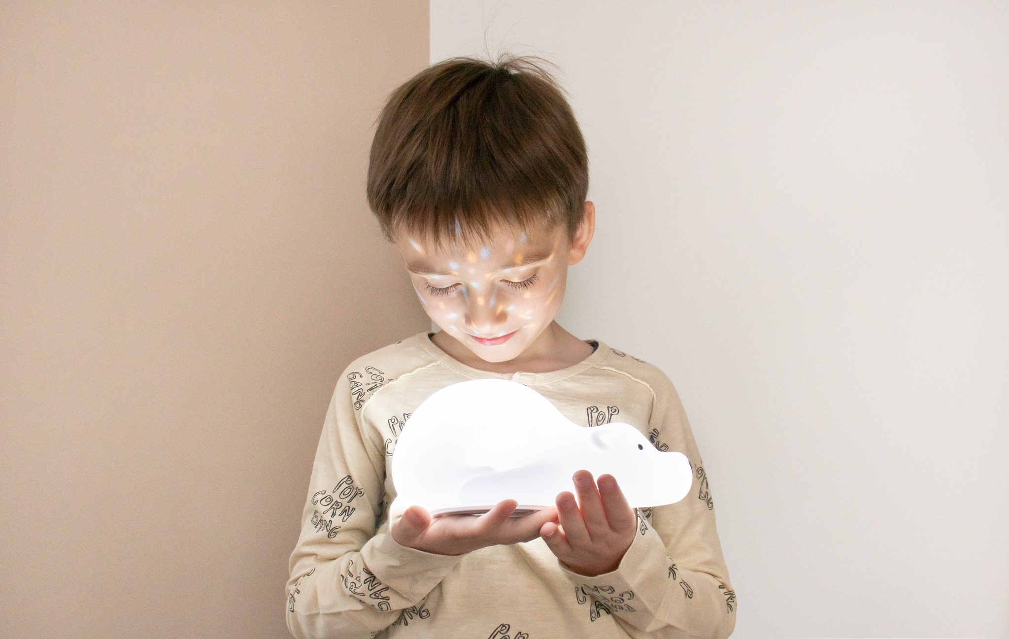 PROJECTOR BJORN – Image 4