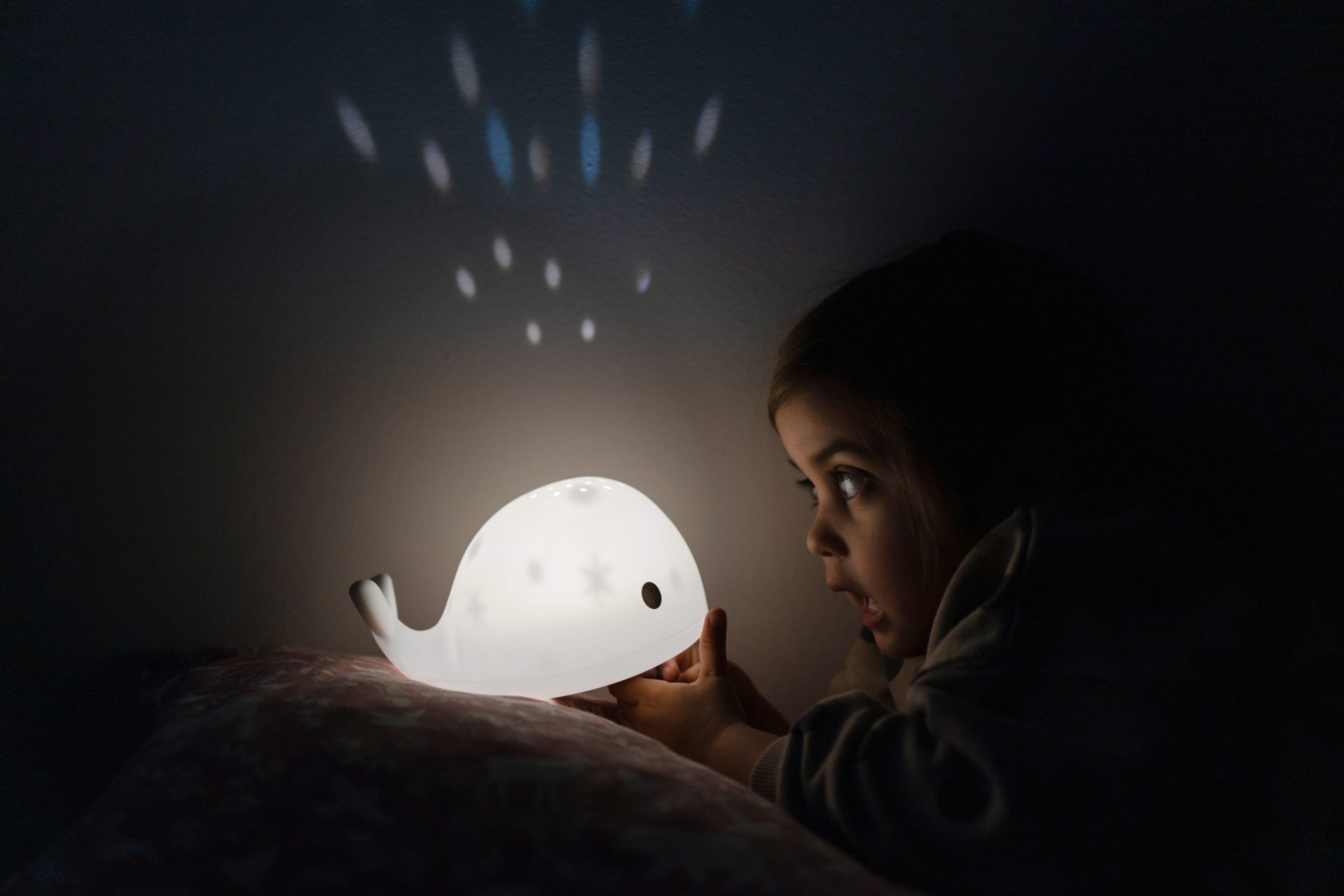 PROJECTOR MOBY – Image 3