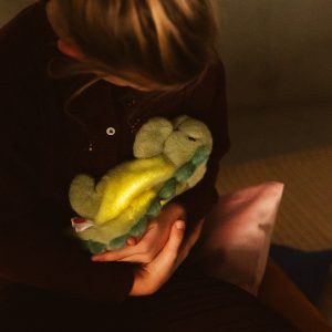 Alternative view of PELUCHE VEILLEUSE JEROOM