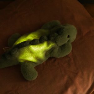 PELUCHE VEILLEUSE JEROOM – Image 3