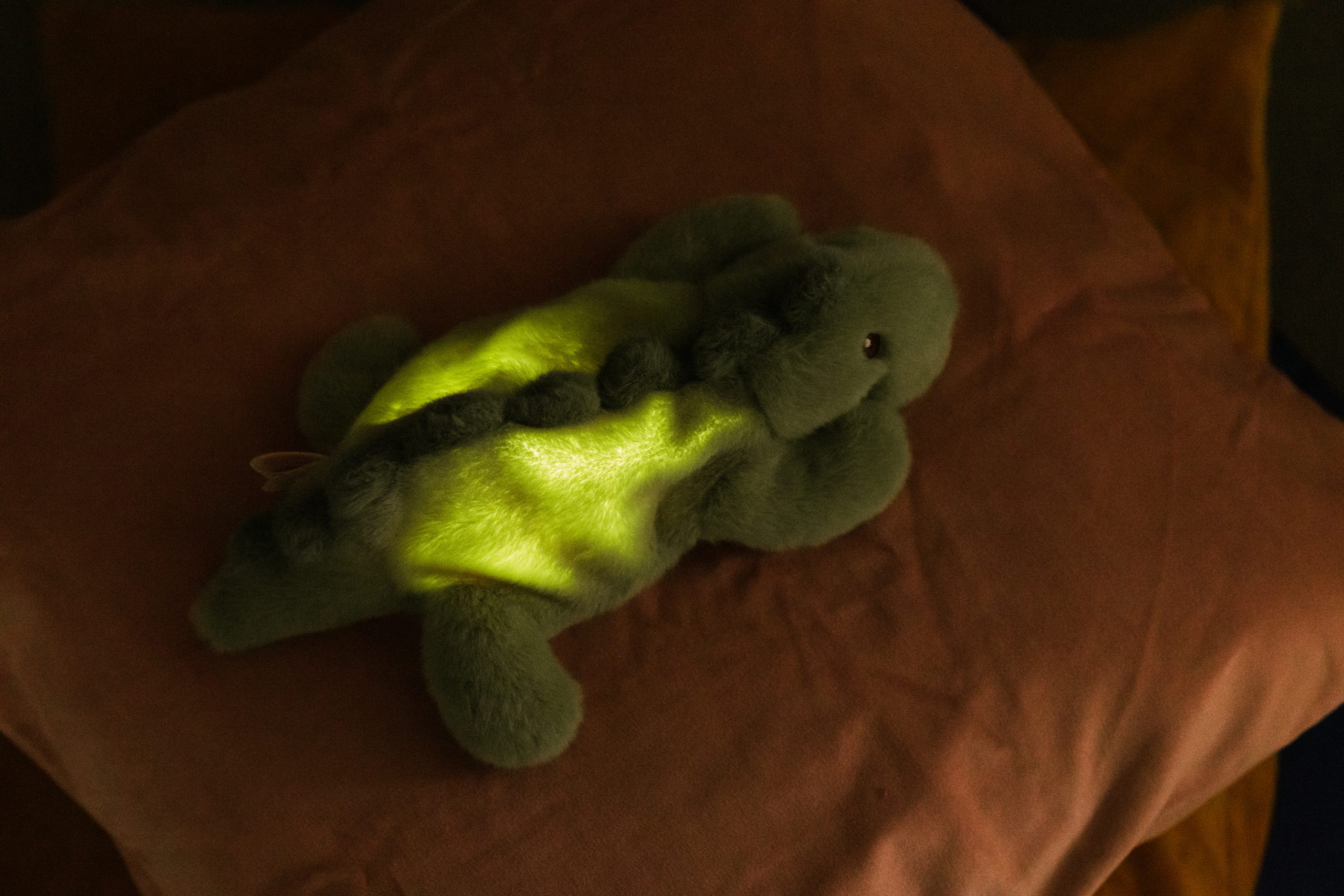PELUCHE VEILLEUSE JEROOM – Image 3