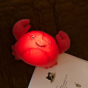 Alternative view of PELUCHE VEILLEUSE THEO