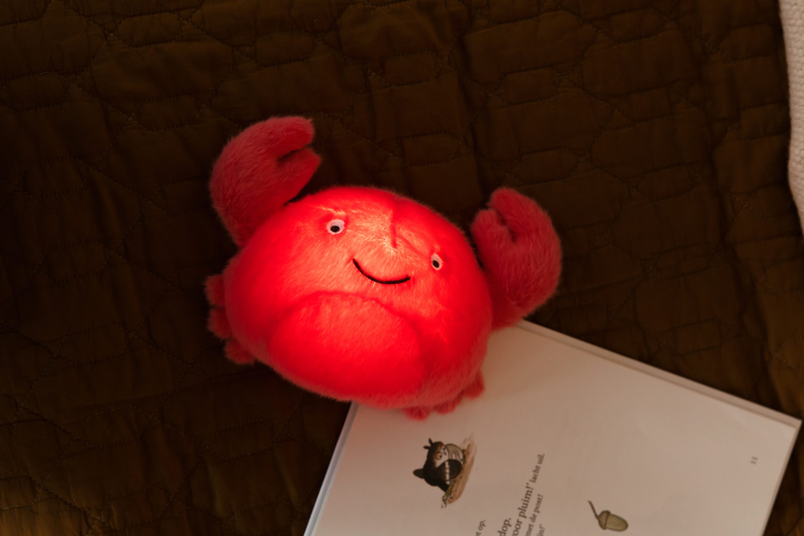 PELUCHE VEILLEUSE THEO – Image 2