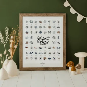 AFFICHE LES PETITES BETES DE LA MER