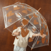 PARAPLUIE MARRON