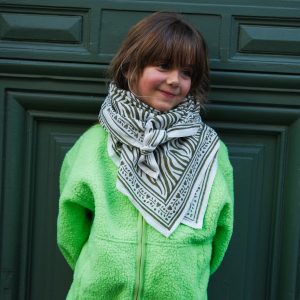 Alternative view of FOULARD ZEBRE KAKI