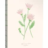 carnet moyen fleurs Zoé – Zoé de Las Cases