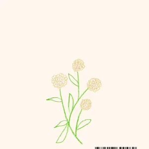 carnet petit mes pensées intérieur – Zoé de Las Cases