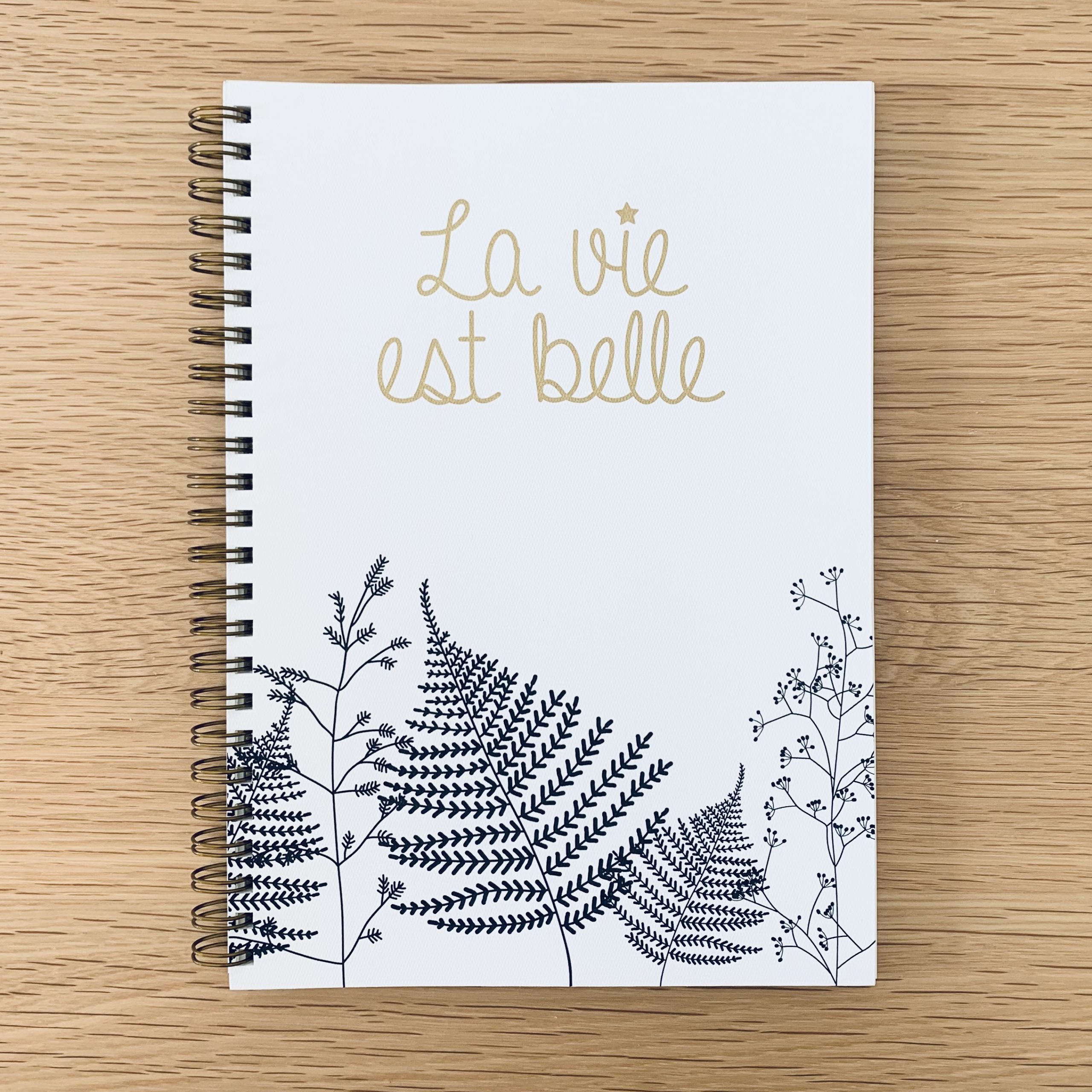 CARNET PAPIER A5 LIGNE SPIRALE LA VIE EST BELLE