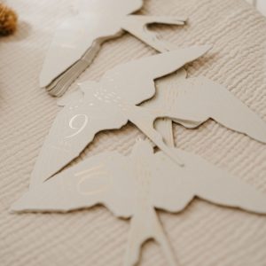 CARTES ETAPES BIRDS