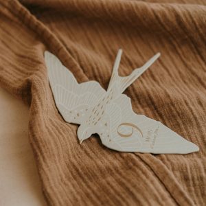 Alternative view of CARTES ETAPES BIRDS