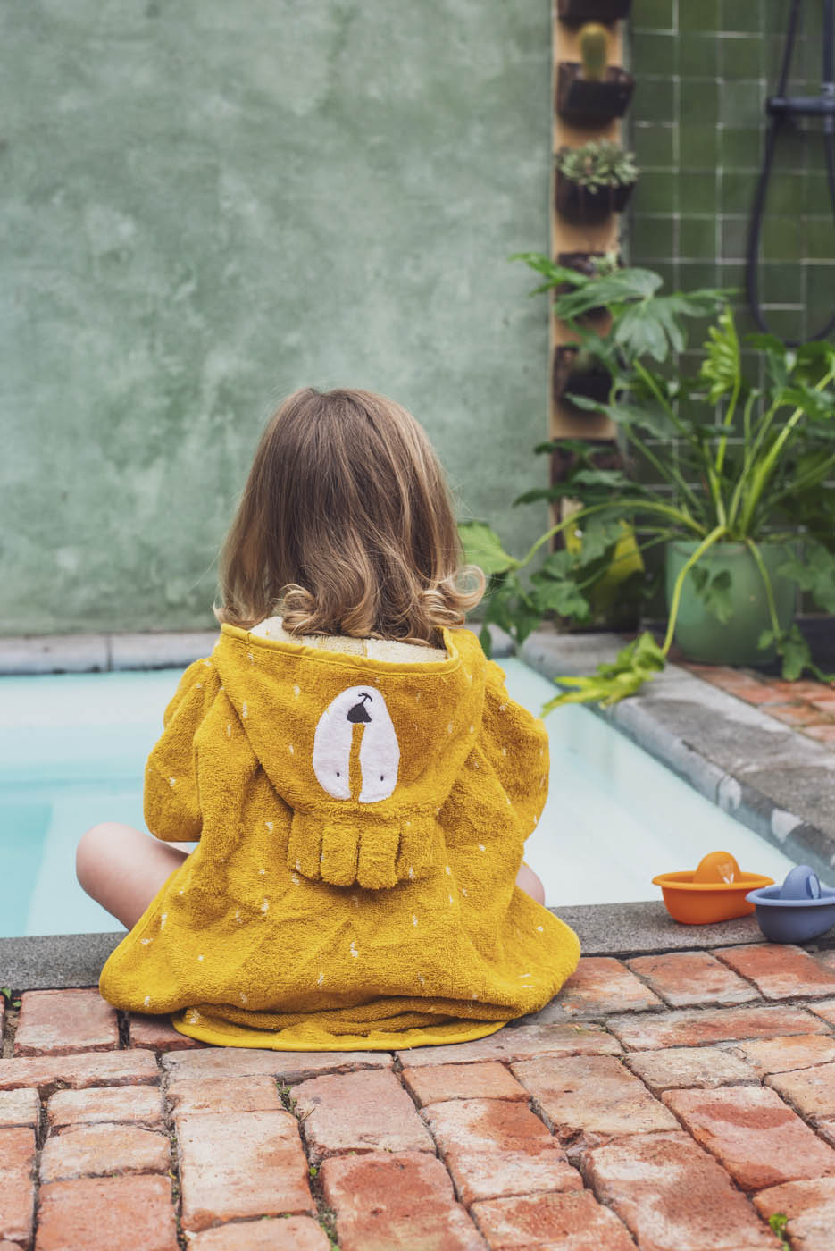 PONCHO LION – Image 3