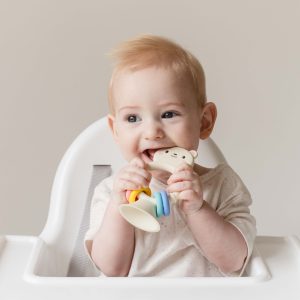 High Chair Buddy Bear Tiger Tribe jouet chaise haute silicone
