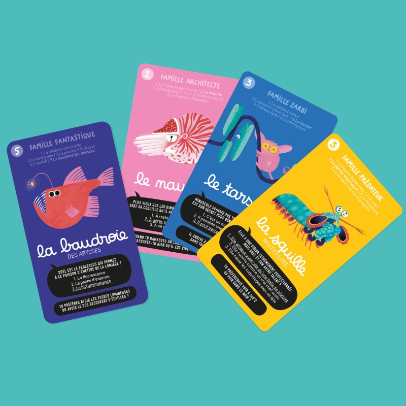 SUPER BESTIOLES - JEU DE 7 FAMILLES – Image 3