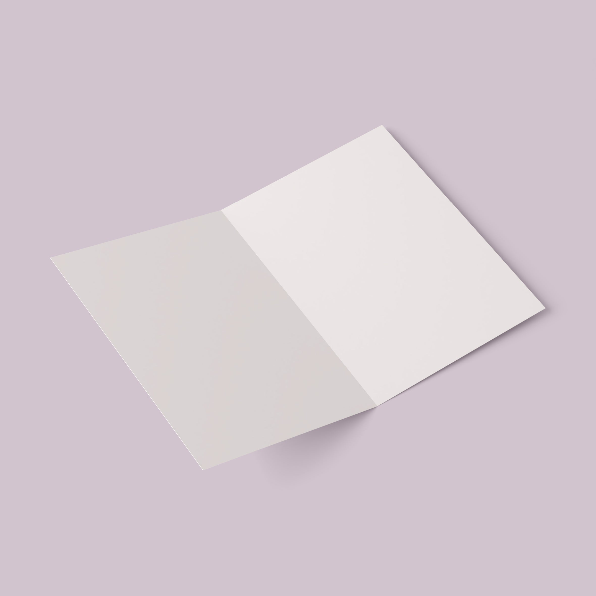 BON PETIT PLAT – Image 2