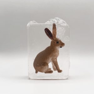 Alternative view of SAVON LIEVRE