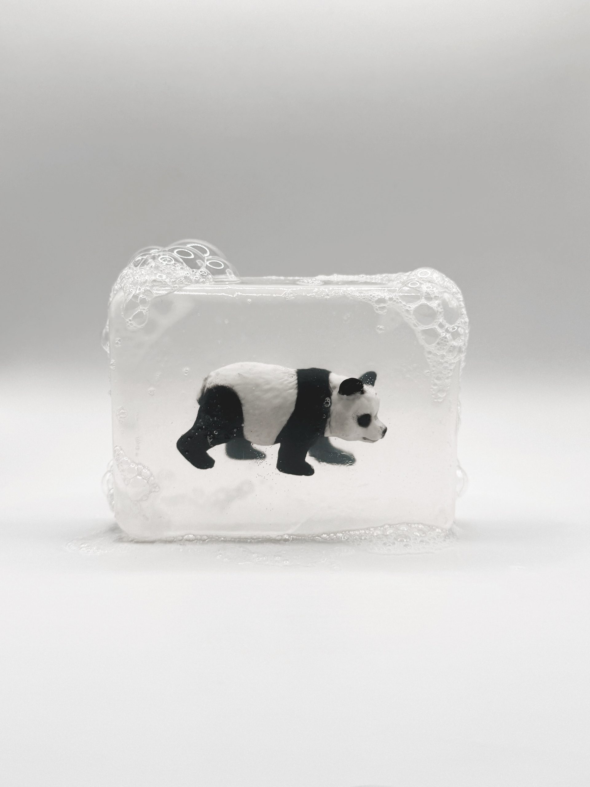 SAVON PANDA