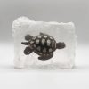 SAVON TORTUE A TACHES