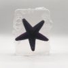 SAVON ETOILE DE MER VIOLETTE