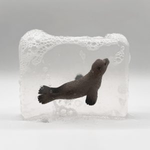 SAVON PHOQUE