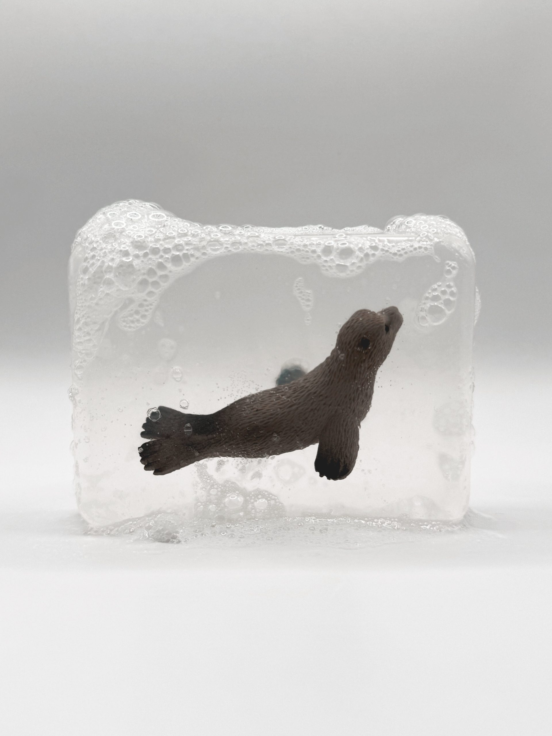 SAVON PHOQUE