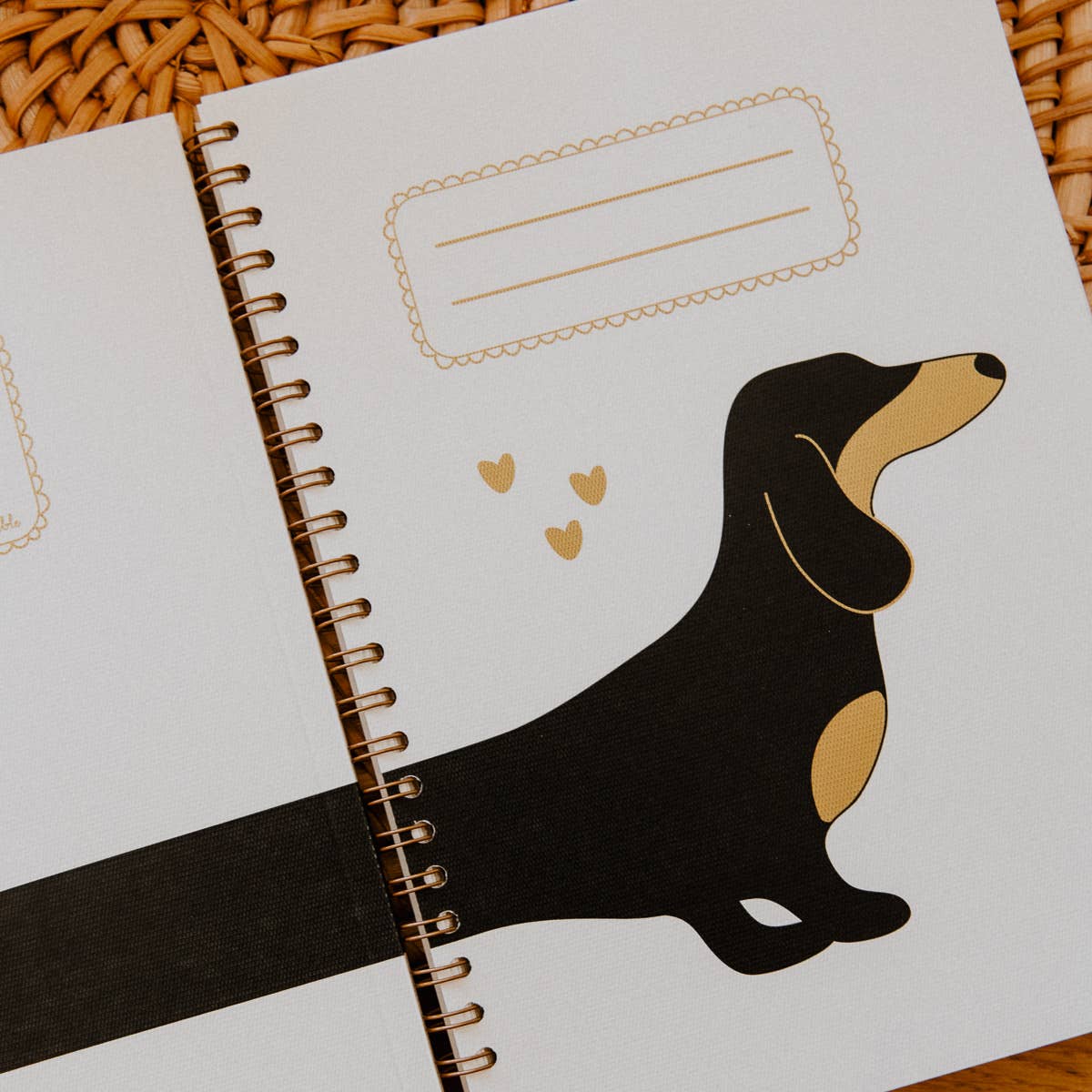 CARNET TECKEL SPIRALES A5